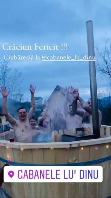 Cabanele Lu' Dinu Curtea de Argeş 外观 照片